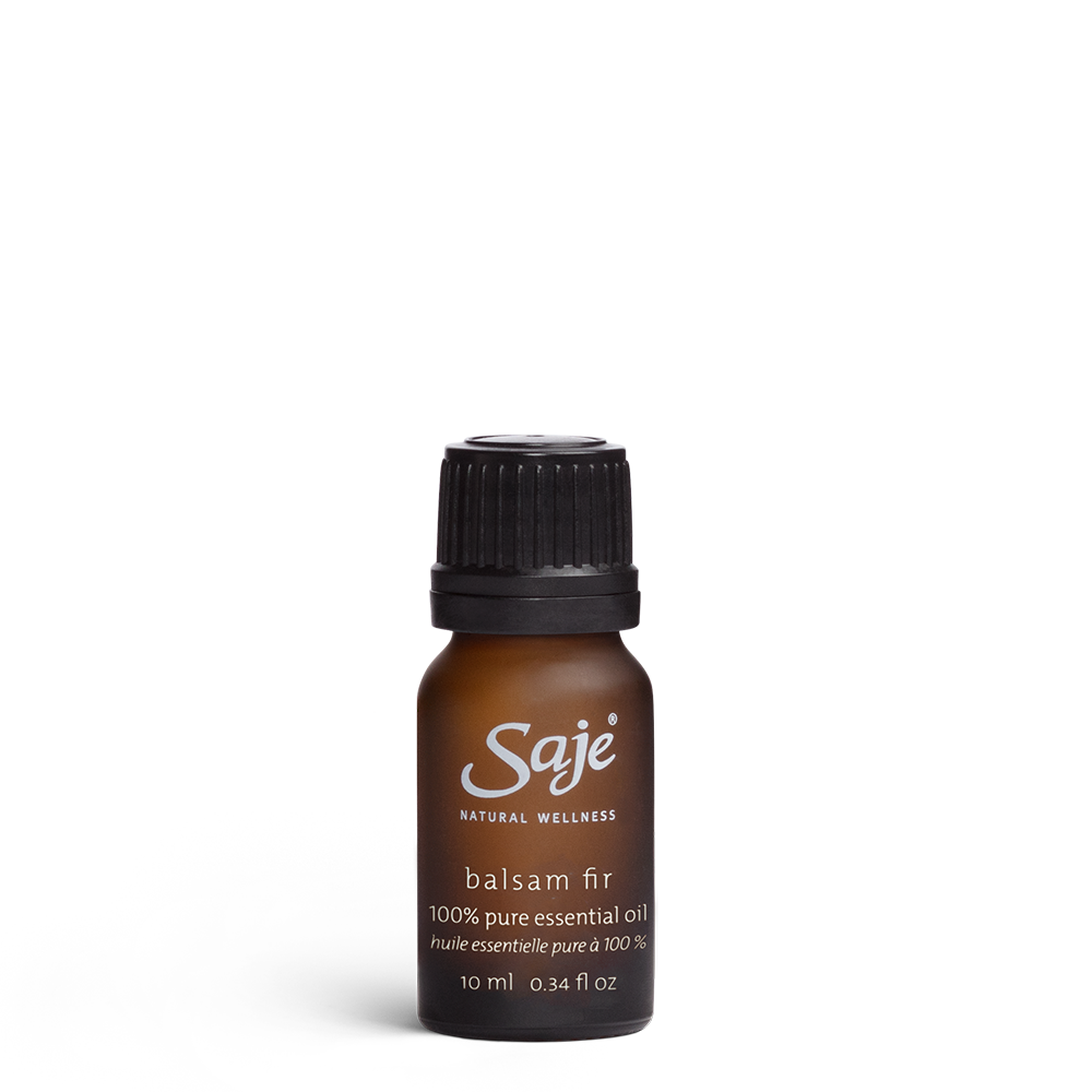 Balsam Fir single note essential oil 10 ml